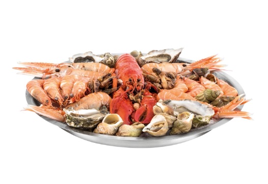 d1603e3b-e10c-402a-b42b-c19bea055c04